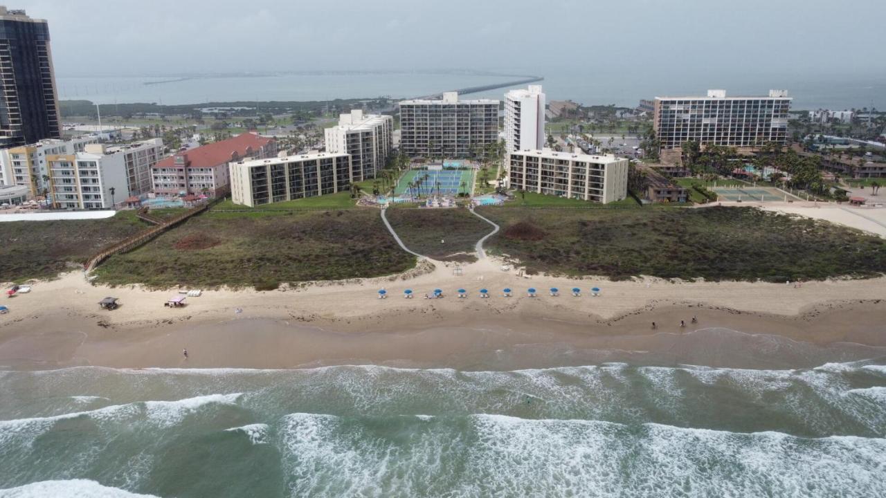Beachfront Resort With Heated Pool Saida Royale 9039 South Padre Island Eksteriør bilde